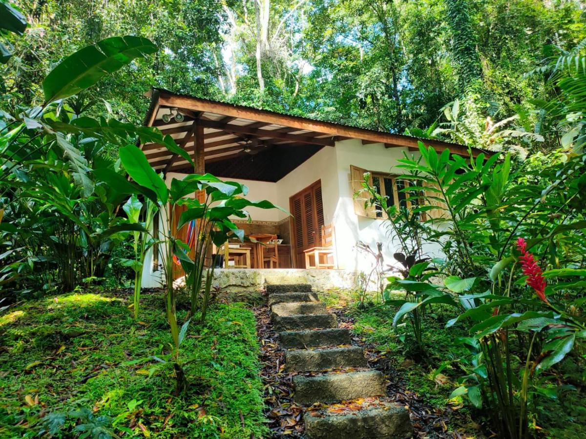Finca Ardilla Jungle Lodge - B&B