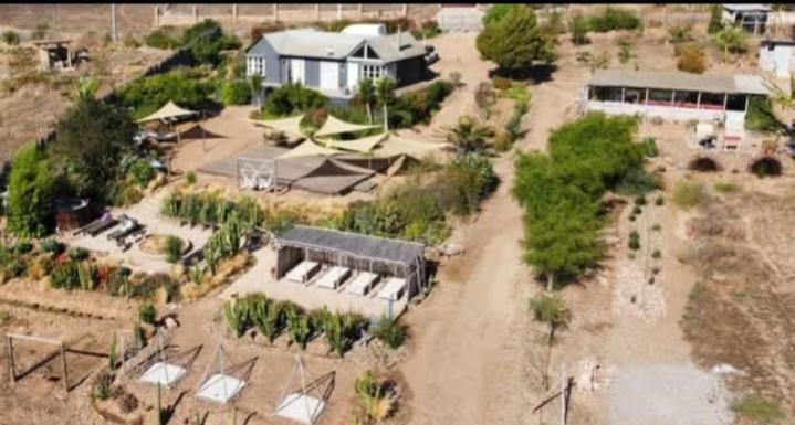 Cabaña colibrí - Casa Campo Elqui - Chambres d’hôtes La Serena