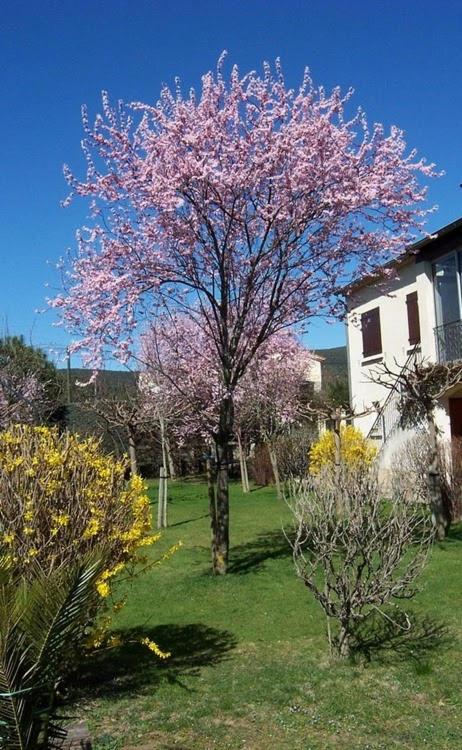 Location Laroque Cévennes - B&B Laroque