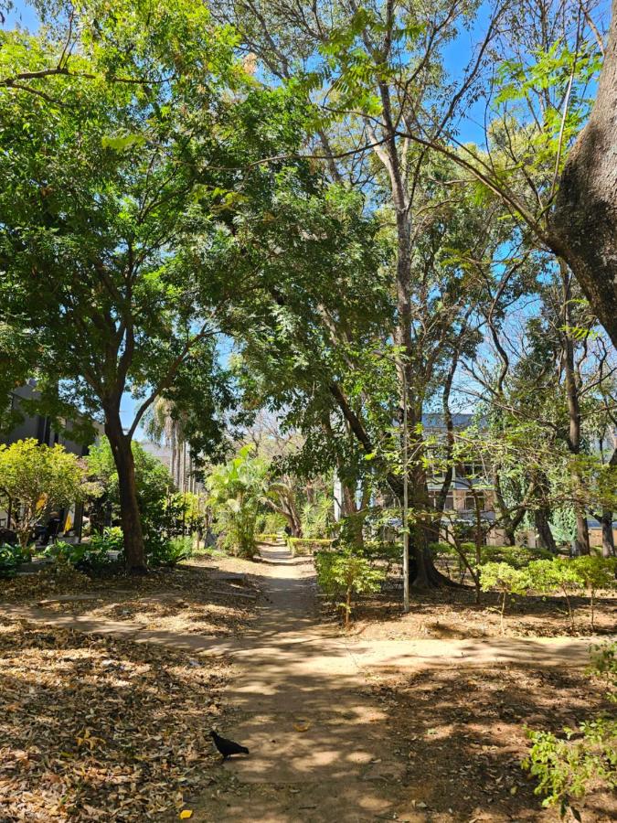 Studio confortável Asa Norte - próximo à UnB - Bed and Breakfast Brasilia