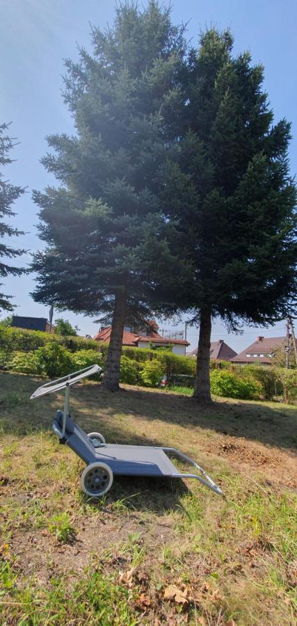Apartament w Sercu Gór z ogrodem - Chambres d’hôtes Wałbrzych