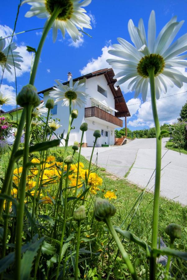 B&B Slunj - Apartment Bastaja - Bed and Breakfast Slunj