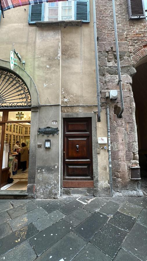 Lucca Charm - B&B Lucca