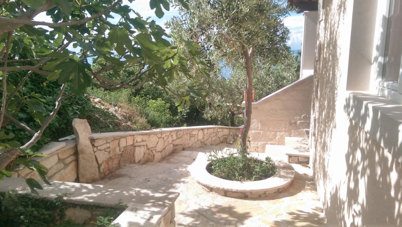 Villa Belvedere Žiža - B&B Donji Humac