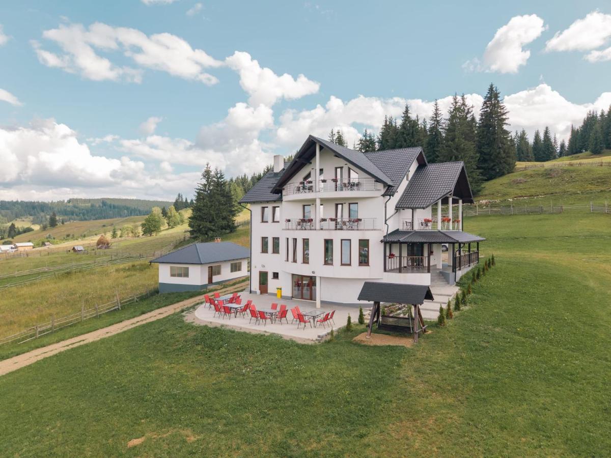 Vila de pe deal Poiana stampei - B&B