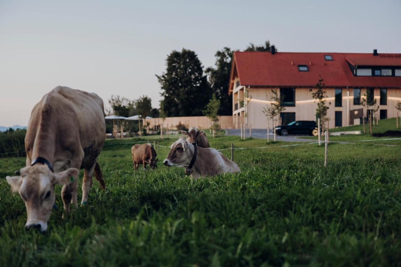 Suite con Vista Giardino