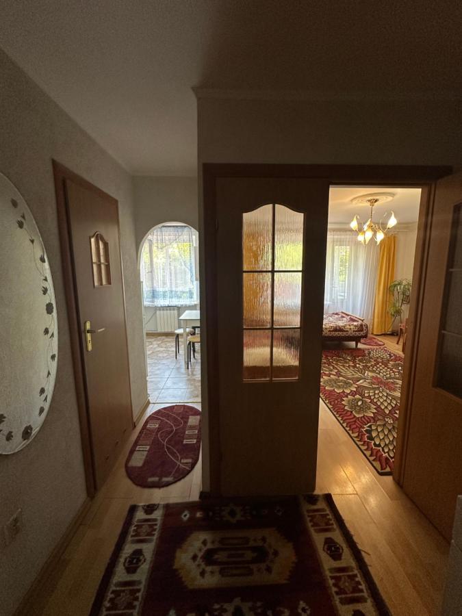 Затишна 1 кімнатна квартира Трускавець - B&B Truskavec