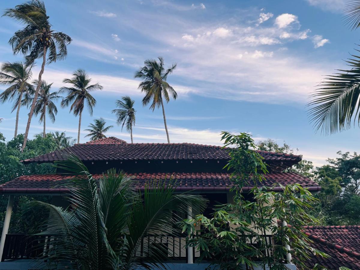 Green turtle - Ferienwohnung Tangalla