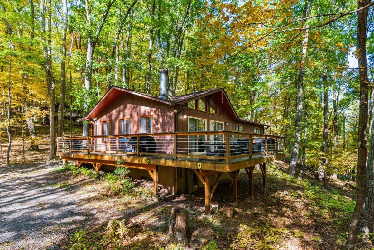 Wooded Nest, Cozy 3BR Chalet Near Spas, Downtown Berkeley Springs & Hiking - Bed and Breakfast Berkeley Springs