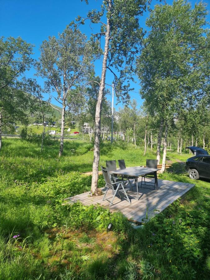 cozy cabin without water at lapphaungen - B&B Tennevoll