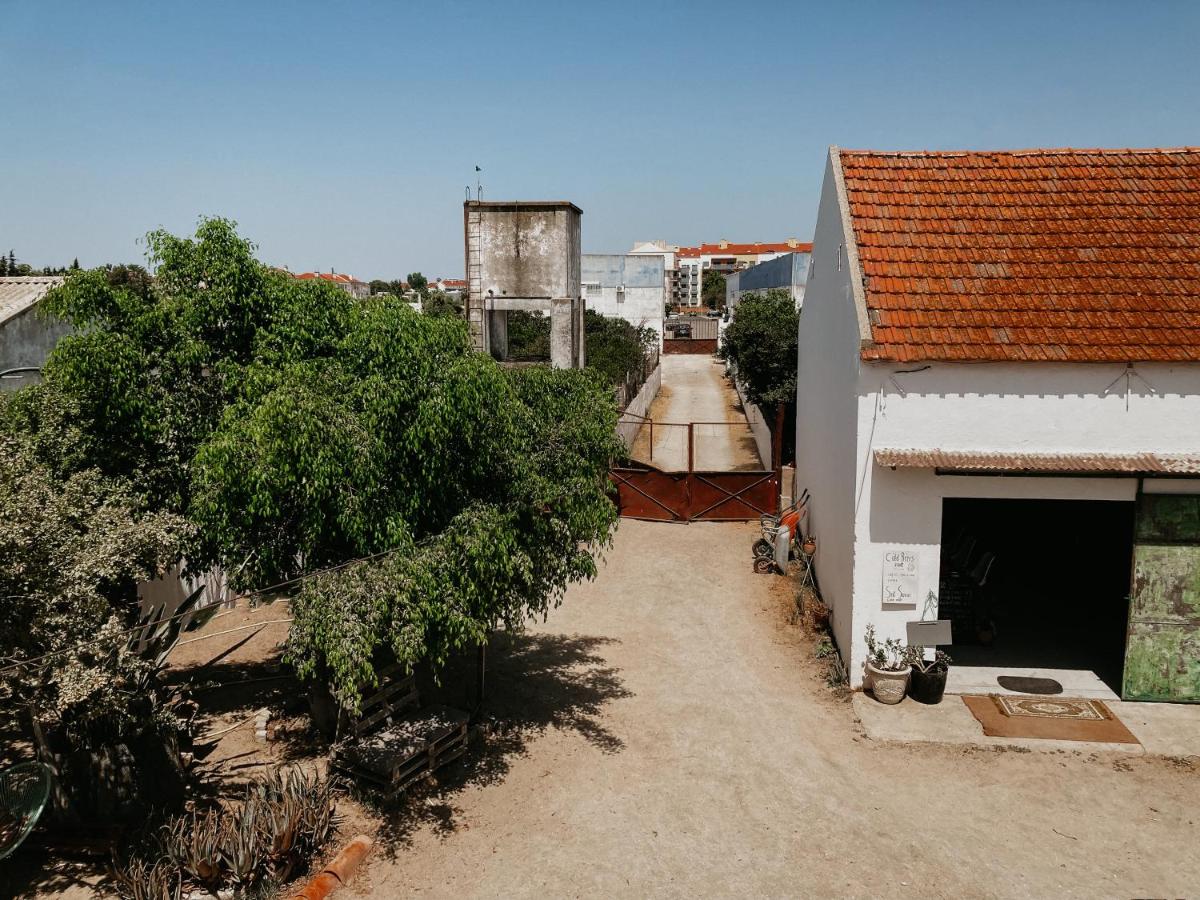 Montijo Garden - Guest House - B&B Montijo