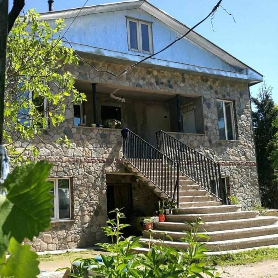 Hill Guesthouse - Wine Cellar, Fish Farm & Organic Cuisine - B&B