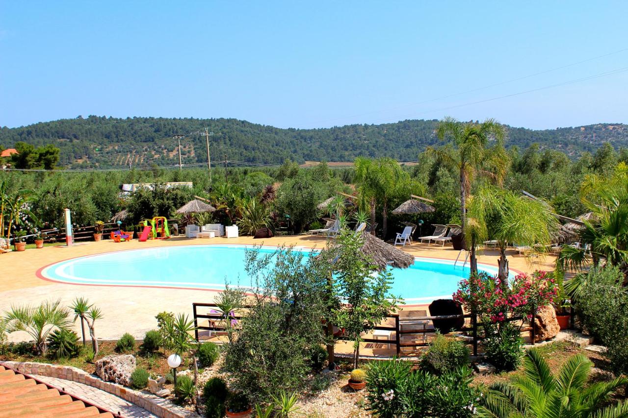 Appartement 1 Chambre - Vue sur Mer - Mansarde