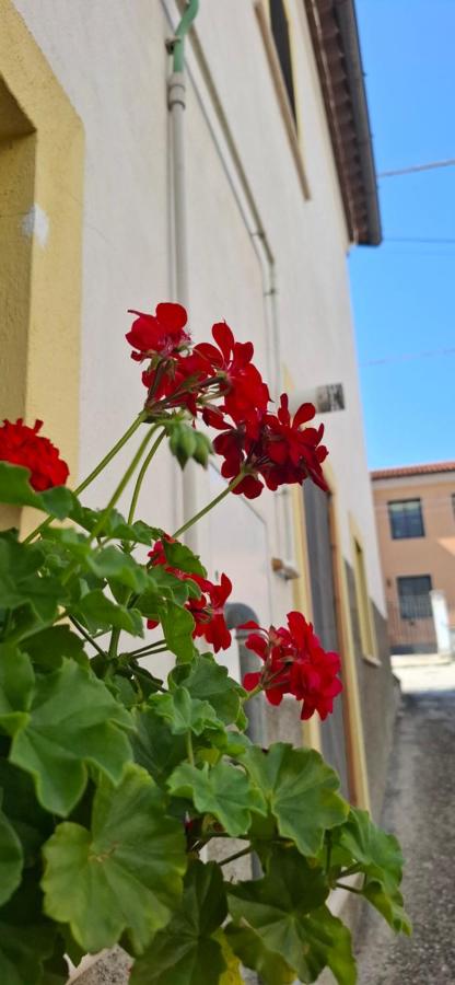 Casa Vacanze al Vicoletto - B&B Pratola Peligna