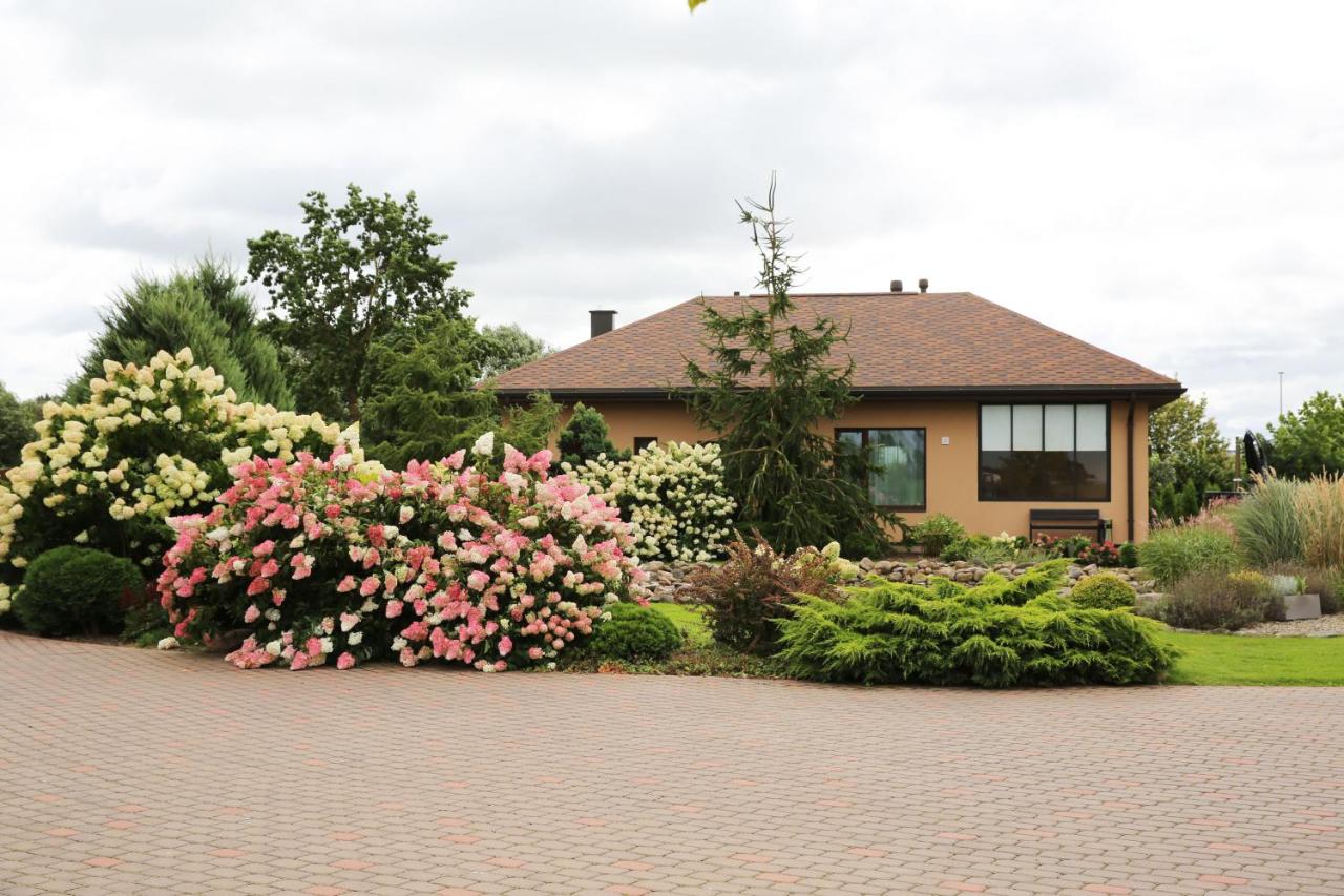 Apartment Lauras - B&B Bauska