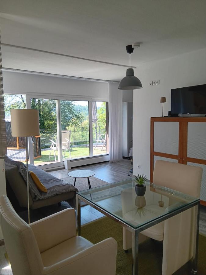 Studio auf dem Winterberg - Ferienwohnung Saarbrücken