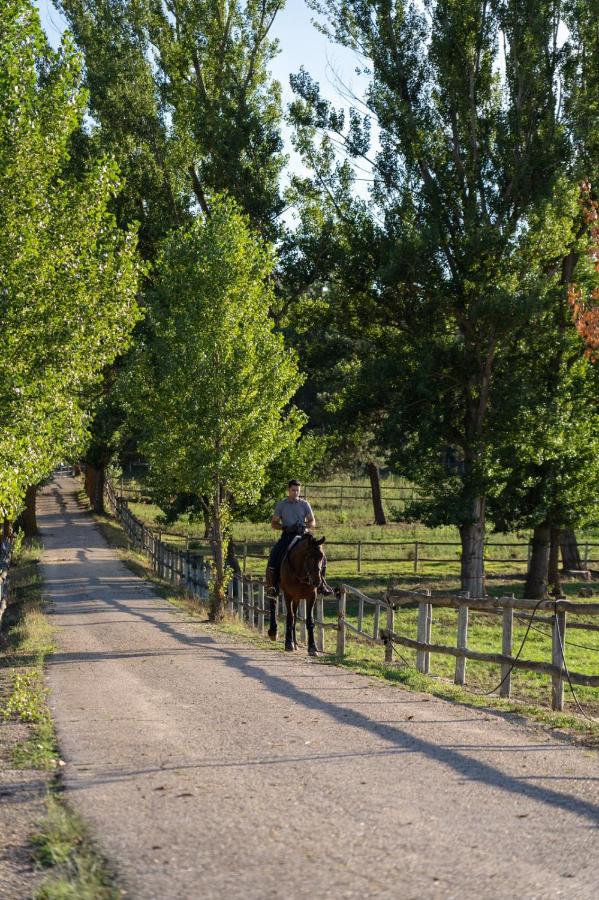Hotel Apartamento Los Villares - Bed and Breakfast Los Villares de Soria
