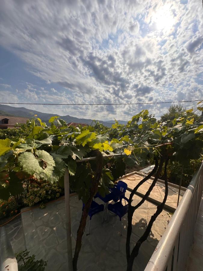 Appartamento con Vista Montagna