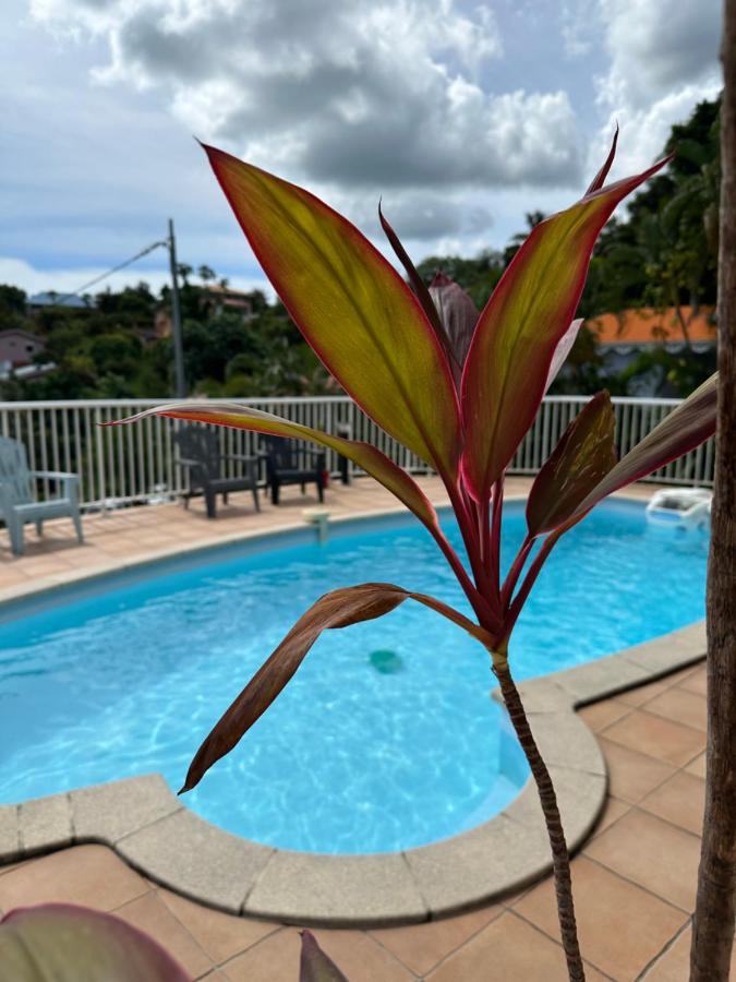 Bas de villa spacieux, proche plages et centre - B&B