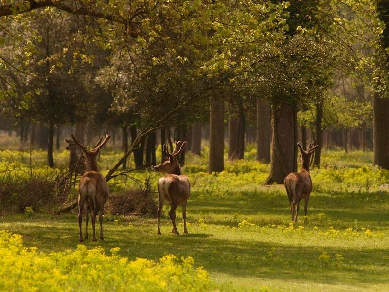 Il Dosso Agriturismo - Bed and Breakfast