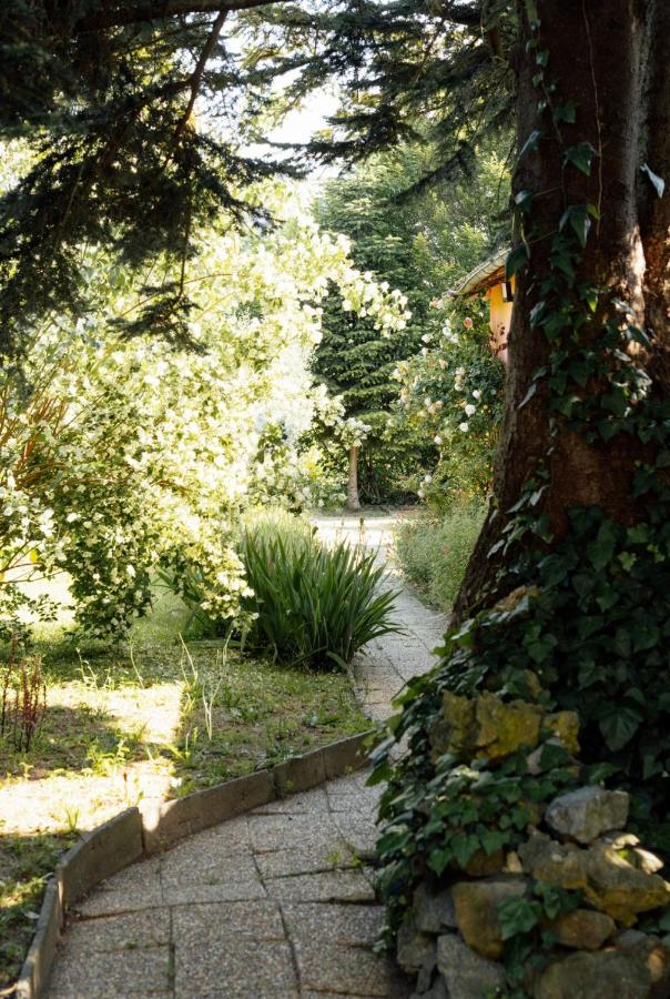 Maison des Lys - B&B Tarbes