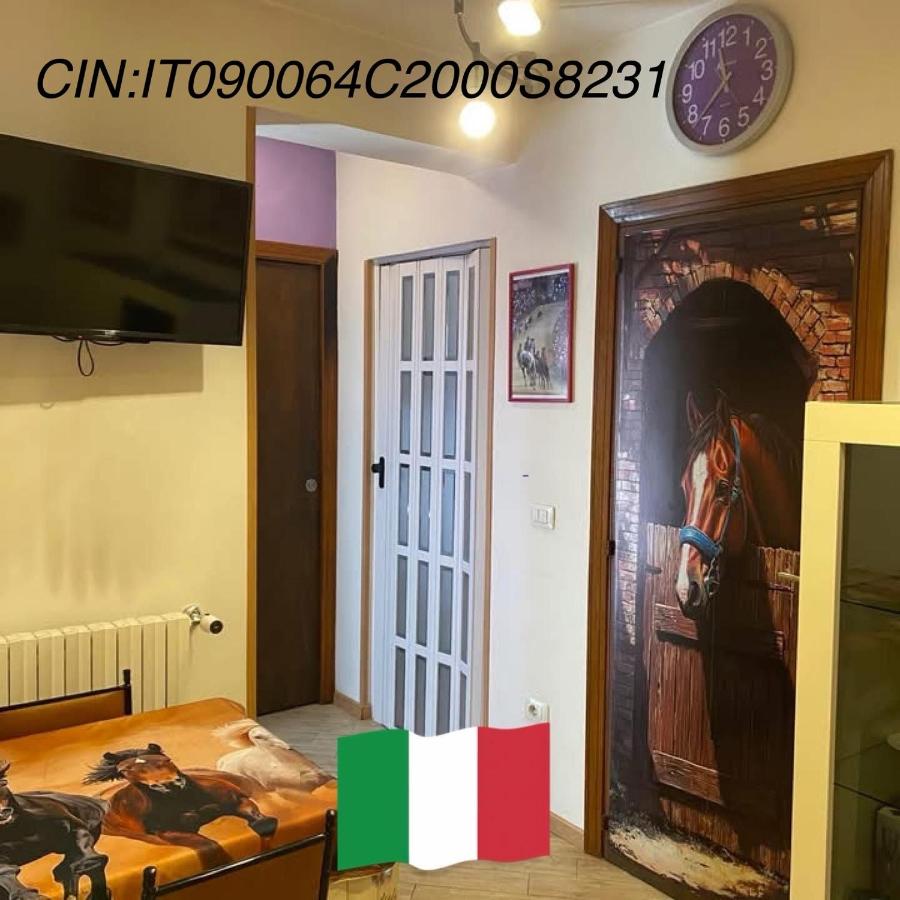 LA CASA DEL CAVALLO - The horse house - B&B Sassari