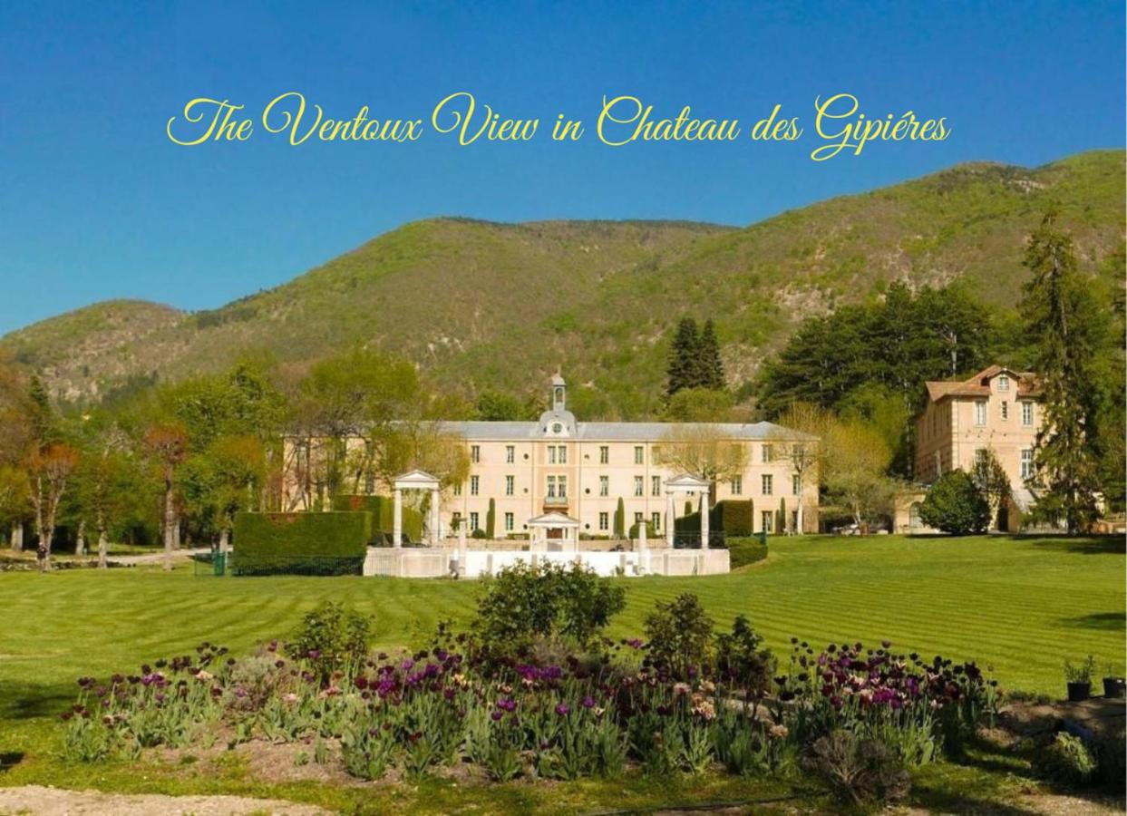 Chateau des Gipières bij de Mont Ventoux - B&B Montbrun-les-Bains
