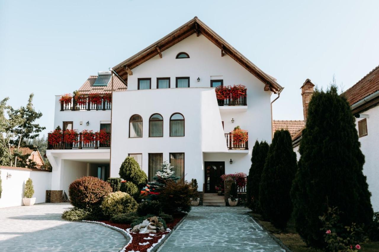 Vila Elizabeth - Ferienwohnung Zărneşti