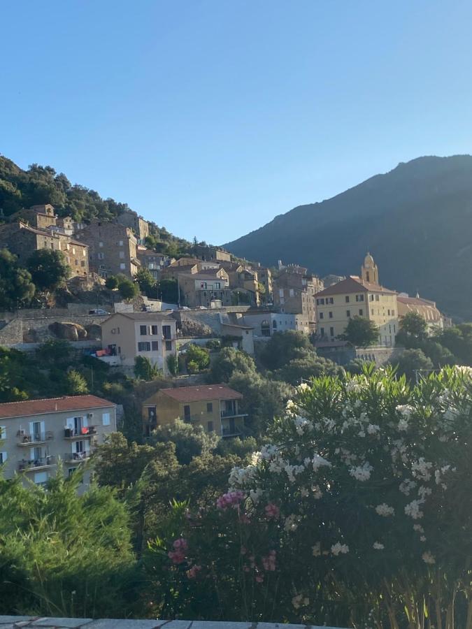 Charming air-conditioned house with garden & view - Chambres d’hôtes Olmeto