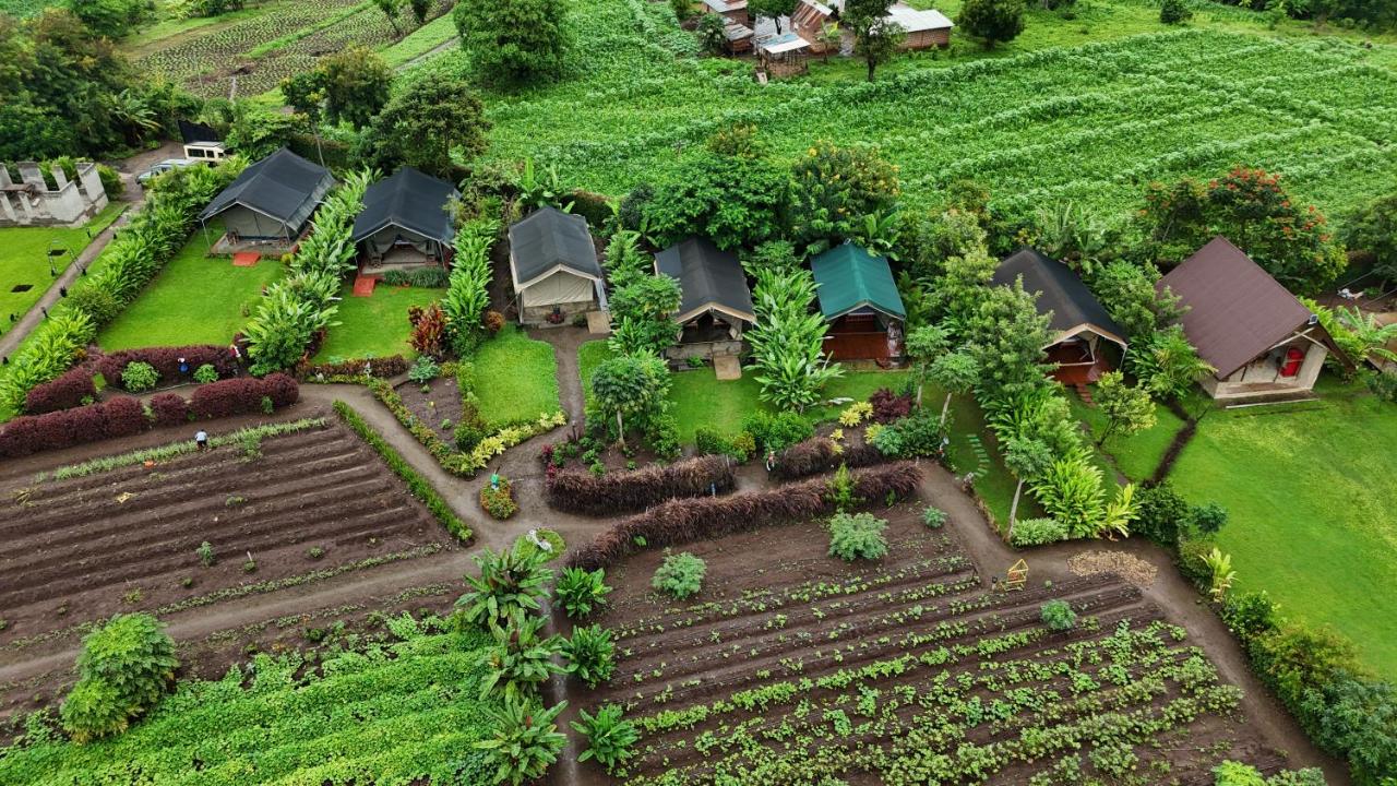 Kibo View Farm Lodge - Ferienwohnung Shiri
