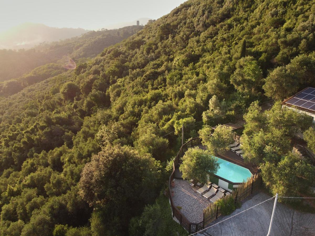 La Lucertola - B&B