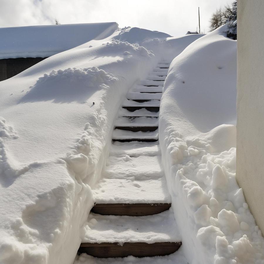 Appartement des Crêtets - B&B Megève