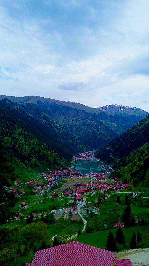 Uzungöl Astra Suit - Ferienwohnung Çaykara