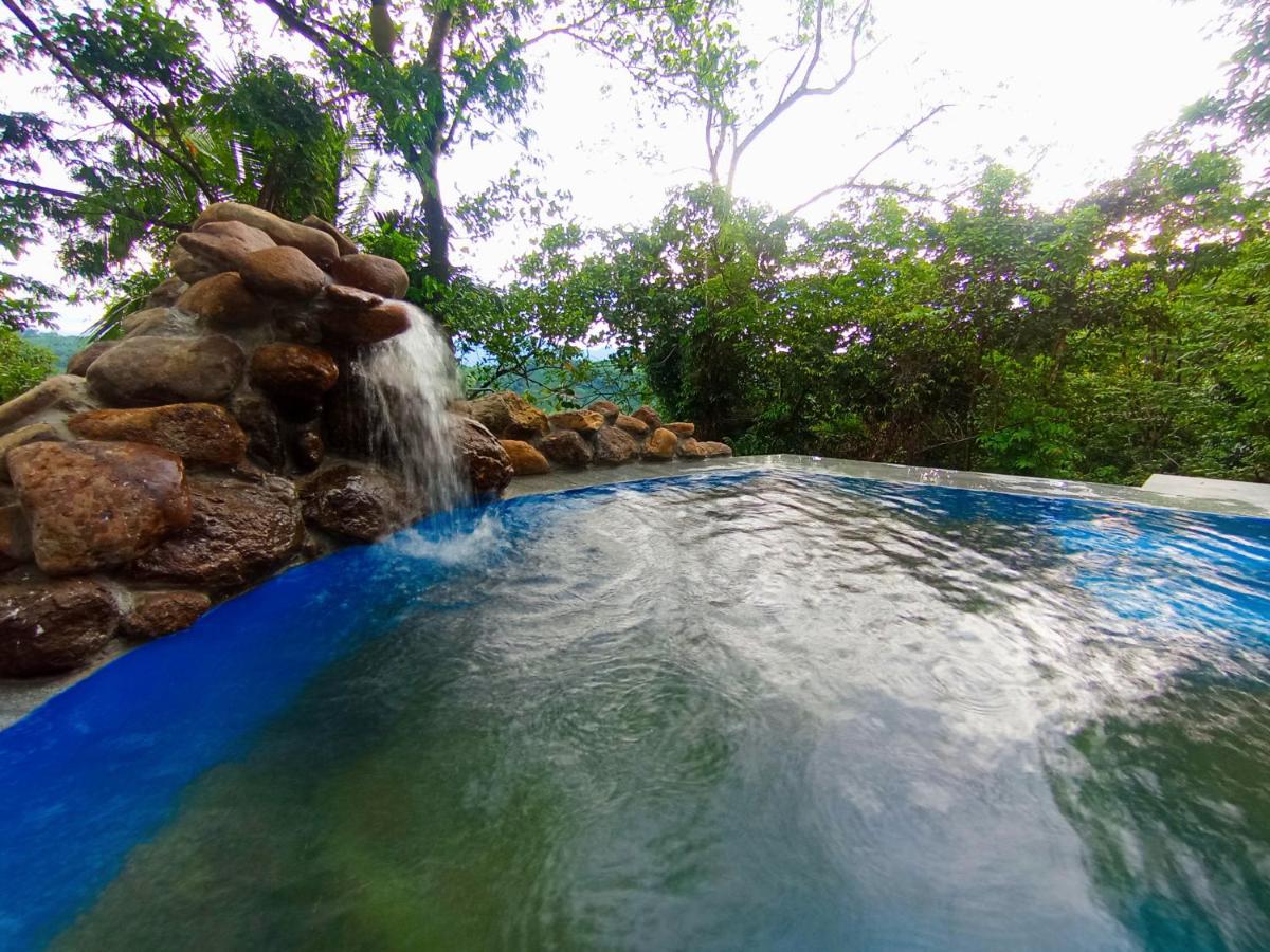 Dhunhill Garden - B&B Avissawella