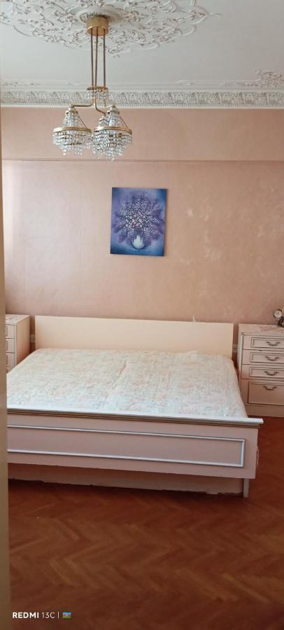 Квартира в центре города - Ferienwohnung Baku