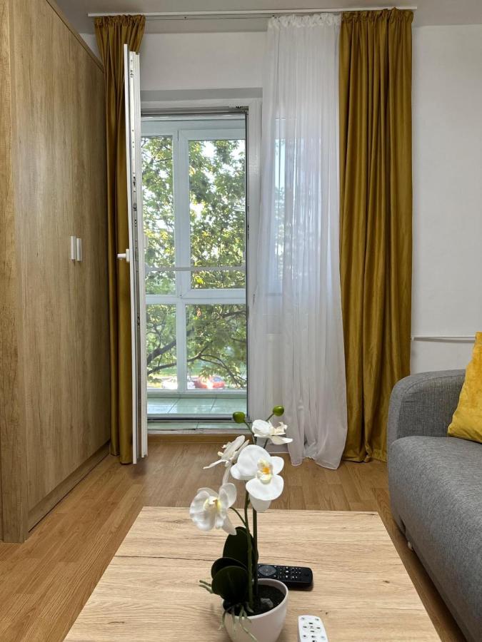 Sunrise Apartment - Bed and Breakfast Timişoara