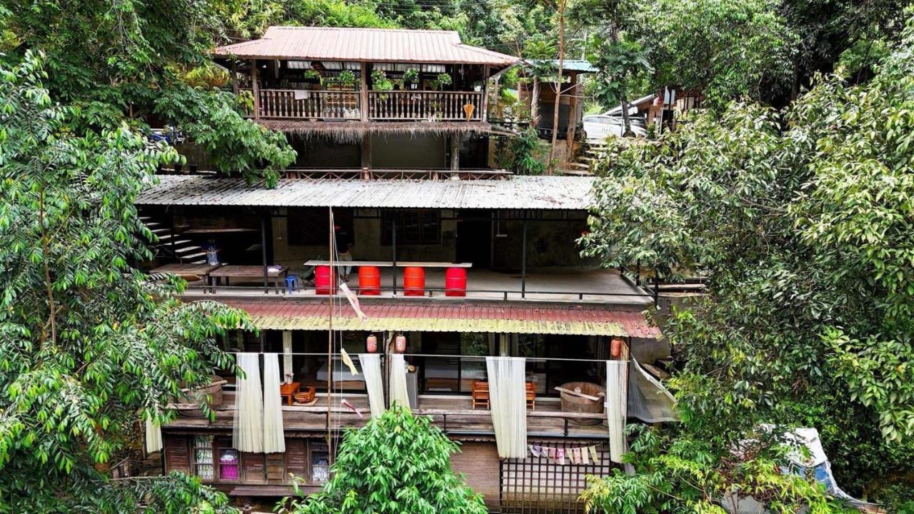 Shinrinyoku Chiang Mai - B&B