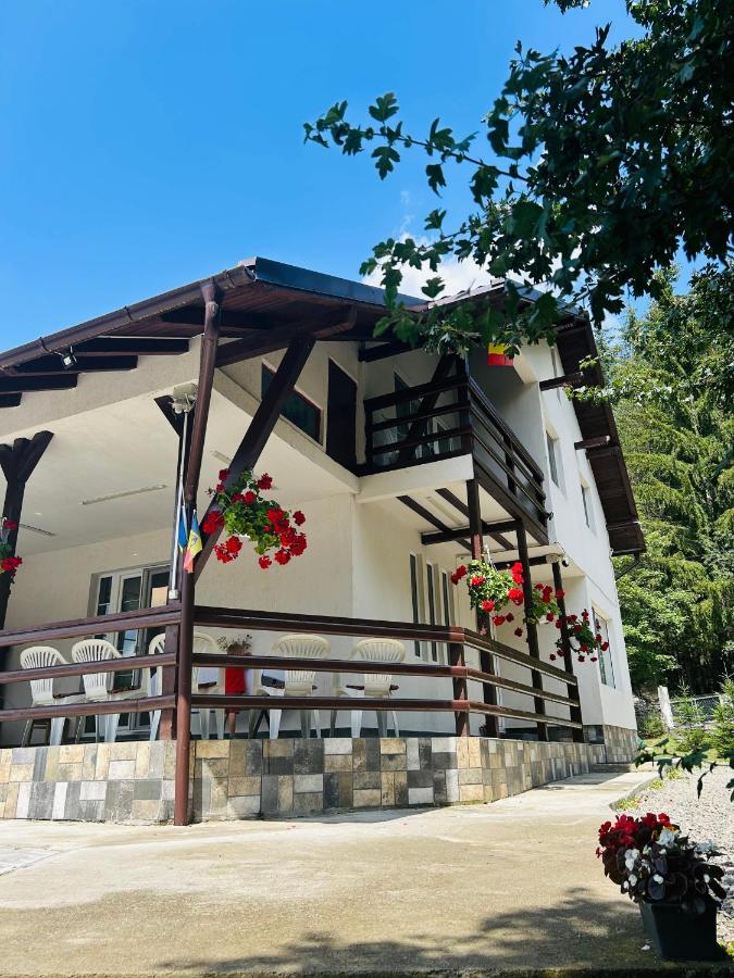 Vila Iulia - B&B Trăisteni