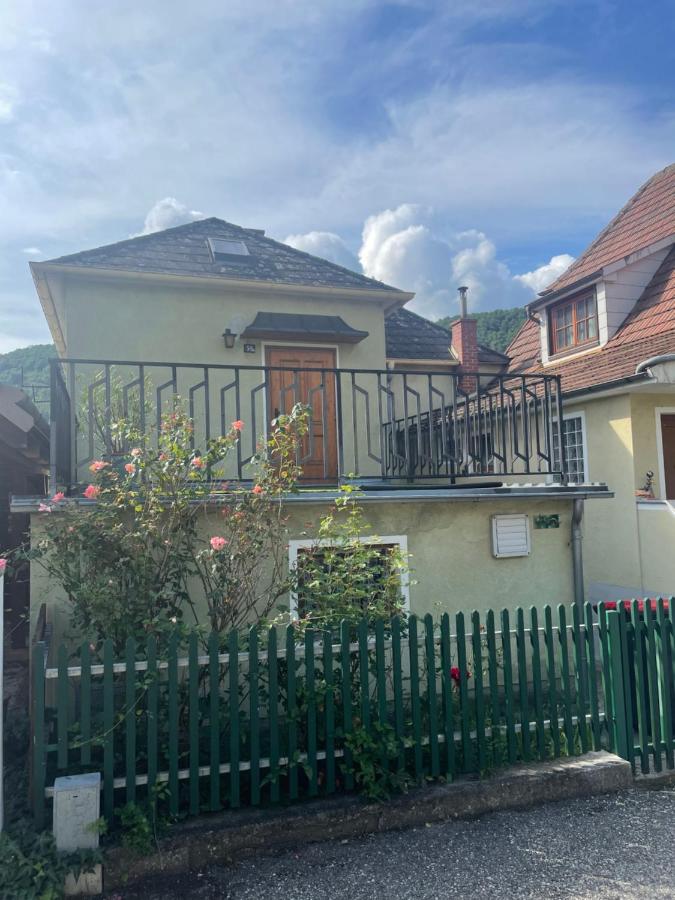 Haus mit Donaublick, Terrasse und Garten - B&B