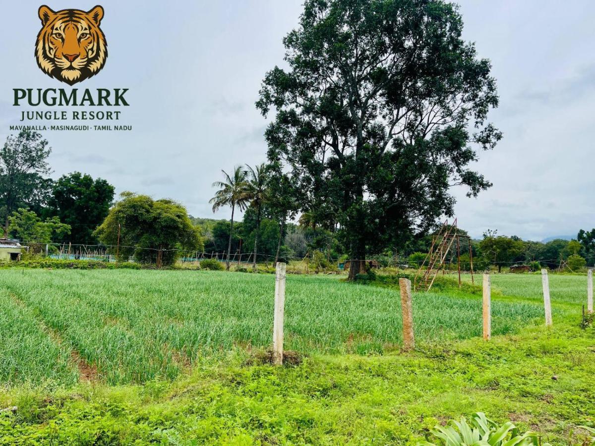 Pug Mark Jungle Resort - Masinagudi - B&B Masinagudi