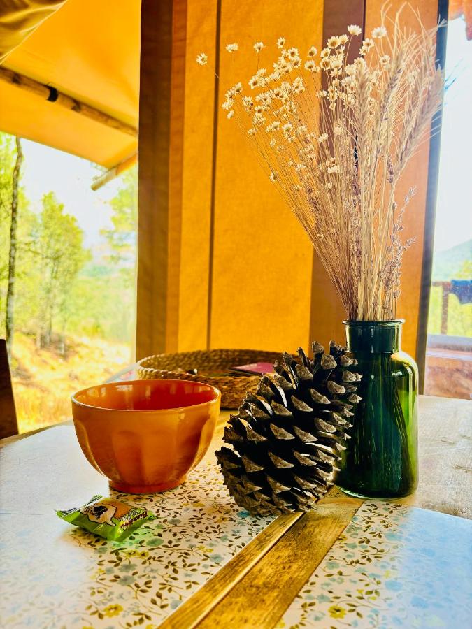 Lodge A NASSA - B&B Olivese