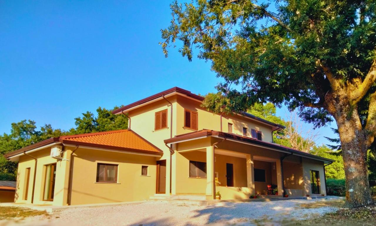 Alberi Maestri Eco Retreat - B&B Satriano di Lucania