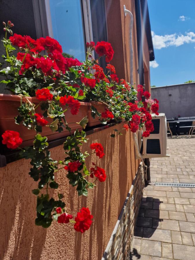 Casa DARYA-24h Check-in - B&B