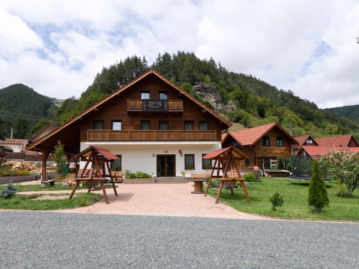 Pensiune agroturistica Casa cu Povesti Rau Sadului - Chambres d'hôtes Râu Sadului