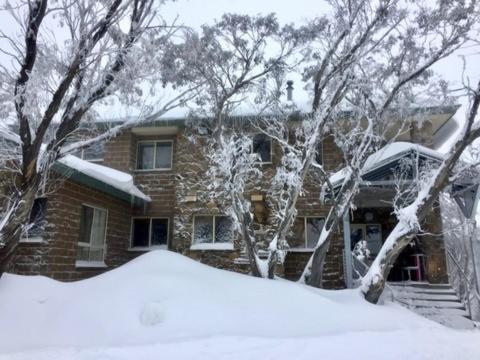 Reindeer 6 AMS Mt Buller - B&B Mount Buller