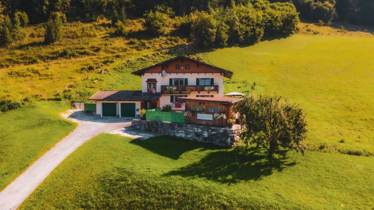 Haus Biechl mit Blick auf die Burg Hohenwerfen - B&B Pfarrwerfen