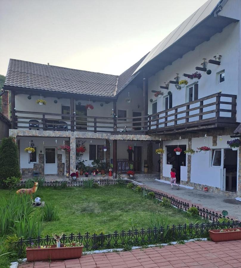 Casa Cipri si Alex - Ferienwohnung Șimon