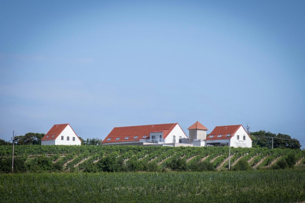 Mušlovské Vinohrady - B&B