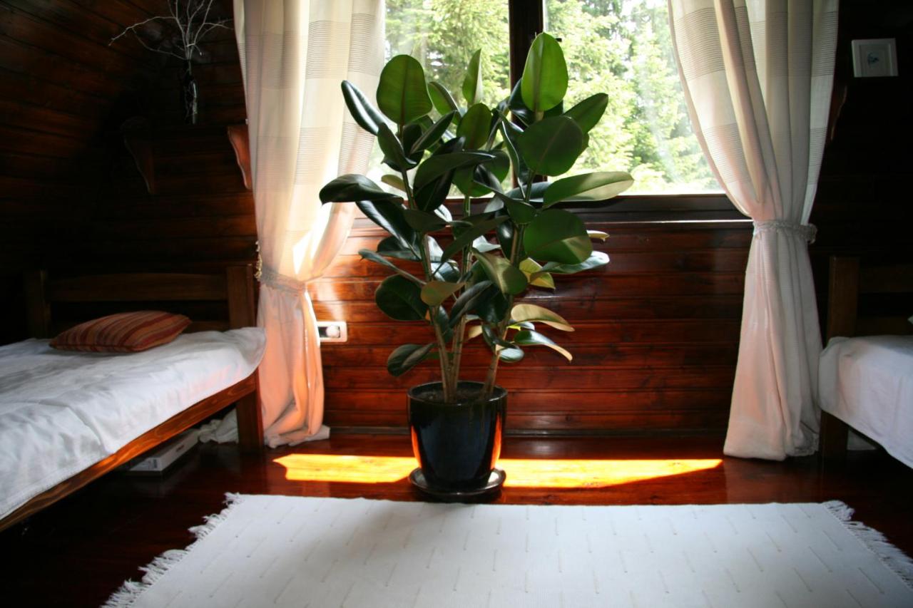 Durmitor Chalet - B&B