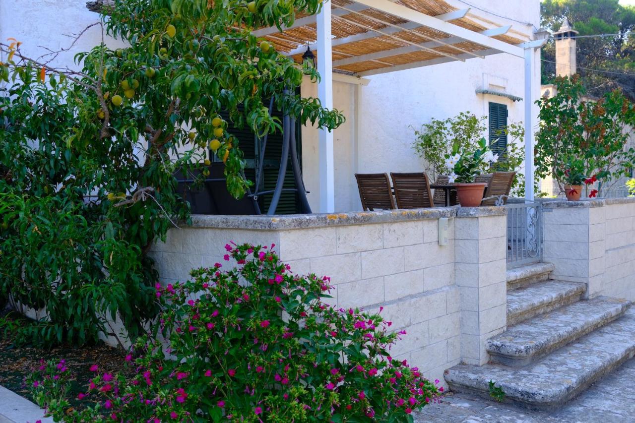 CASINA 1806 Selva di Fasano - B&B Selva di Fasano